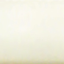 Birch White